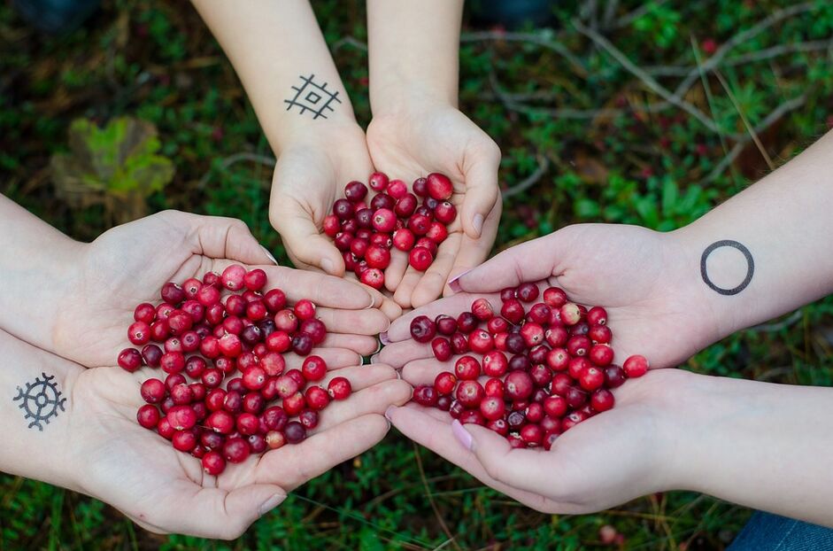 The efficacy of cranberry