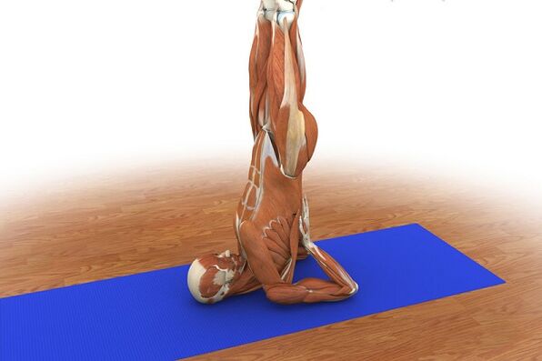 Exercise effectiveness Birch